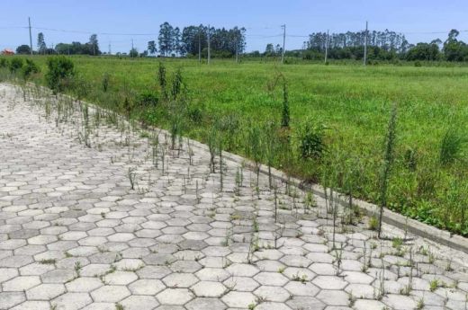 VENDO  02 TERRENOS  NO LOTEAMENTO IRACEMA  BAIRRO OPERARIA ARARANGUÁ-SC